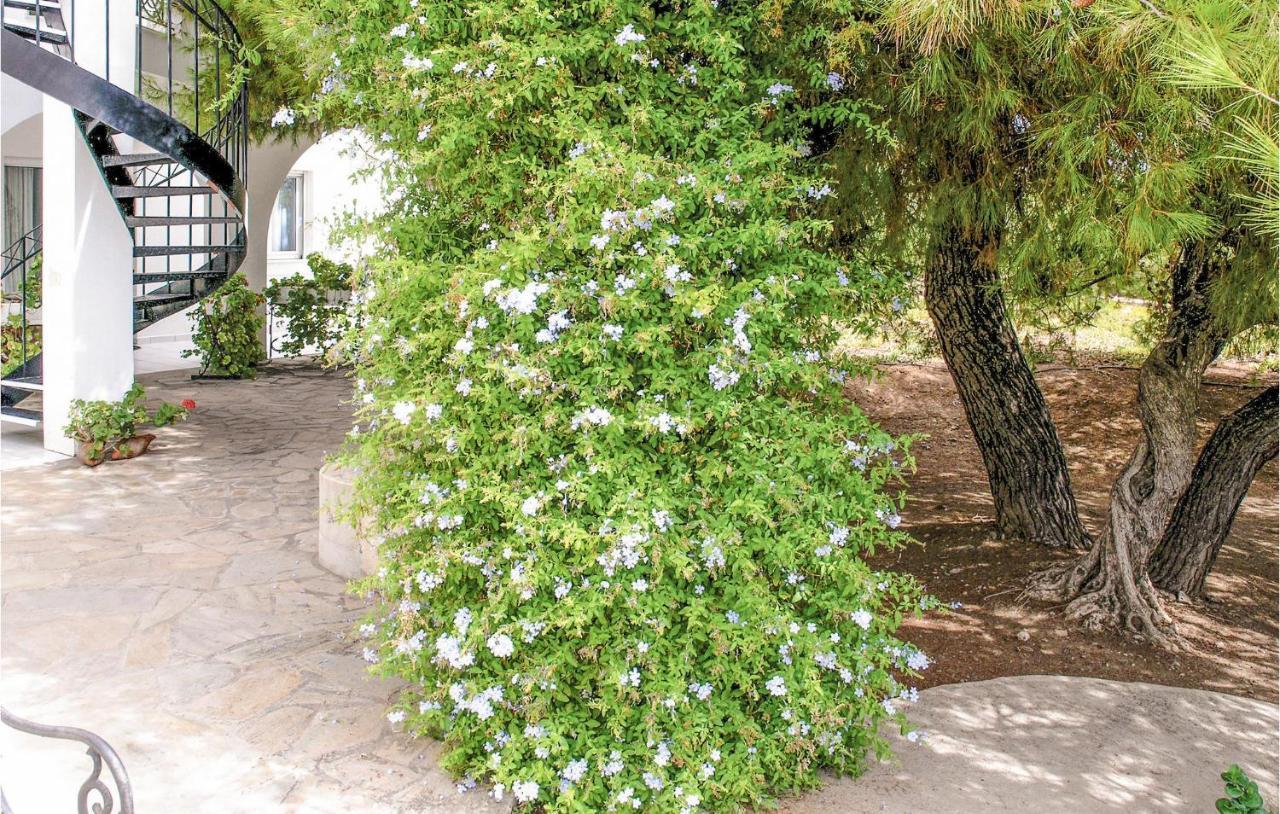 Soleiliosonne Haus Zeus Apartment Ermioni Exterior foto